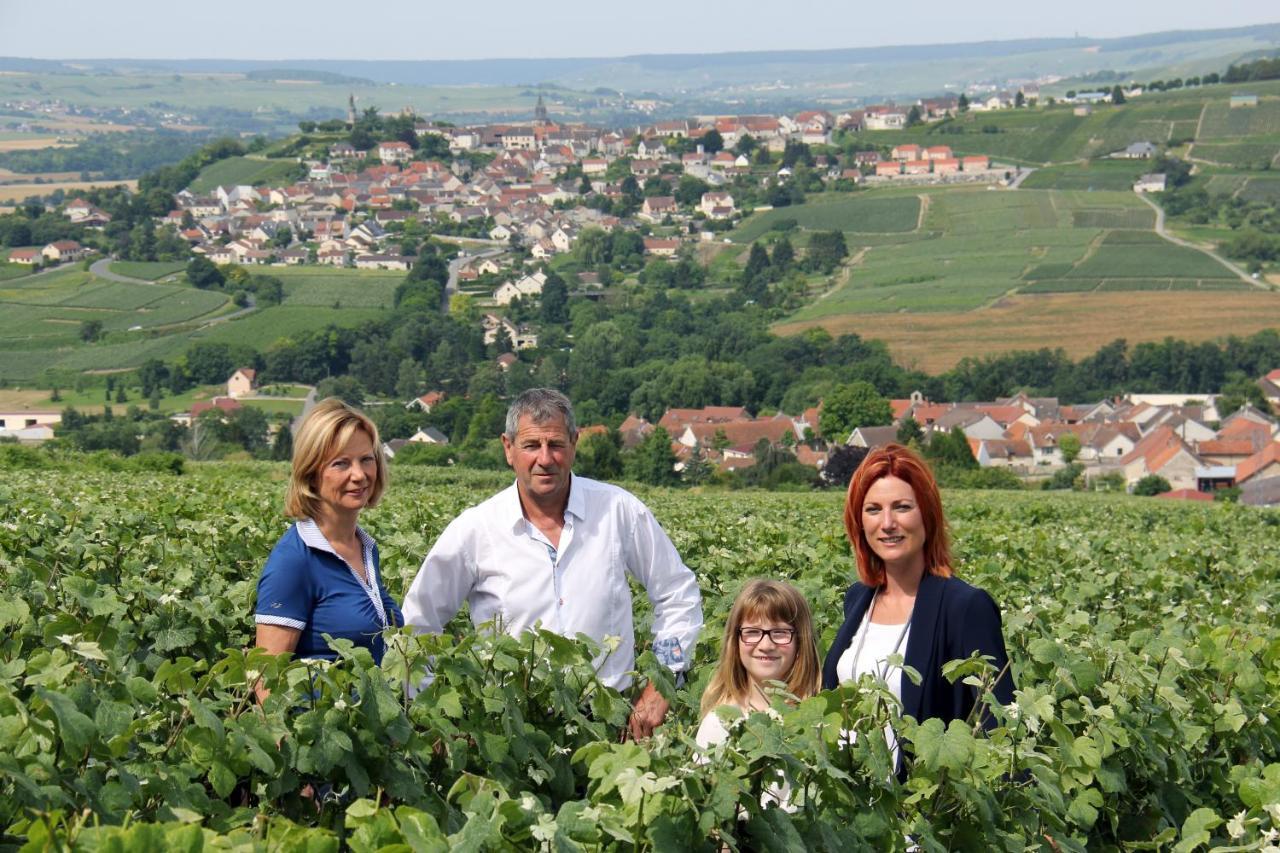 La Grange D' Angel * Chatillon-sur-Marne